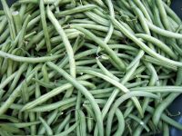 KOMAL Yard Long Beans Seeds