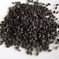 BASIL SEED ( SABJA SEED )