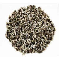 Dried Moringa Seeds