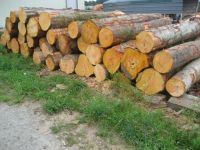 alder (red birch) logs