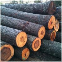 Hickory Saw Logs