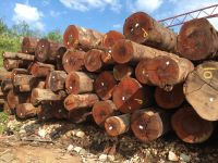 Merbau Sawn Timber