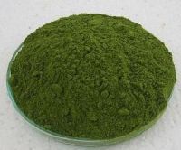 moringa leaves powder best quality