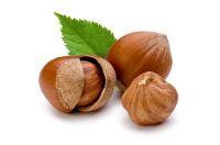 Hazelnuts, Blanched Hazelnuts, Hazelnuts Inshell & Kernels, Organic Hazel Nuts