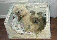 Sell pet bed L01