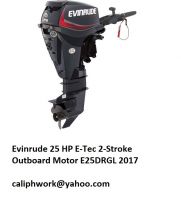 Evinrude 25 HP E-Tec 2-Stroke Outboard Motor E25DRGL 2017