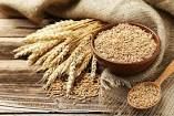 SELL best quality Wheat grain for sale at cheap price