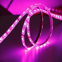 IP68 LED flexible strip light