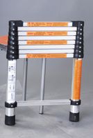 Sell Telescoping Ladder(YH-E2-38)