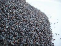 Blue poppy seeds