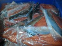 Salmon Fish & Fillets