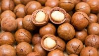 Quality Macadamia Nuts