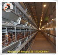 Oman Poultry Farming H Type Automatic Laying Hen Cage & Layer Cage & Chicken Cage & Hen Coop & Hot Galvanized Cage with 224 Birds