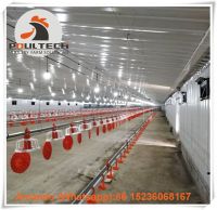 Iran Poultry Farming Broiler Floor Raising System with Automatic Nipple Drinker System & Feeding Pad Line & Floor System