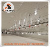 Saudi Arabia Poultry Farm Broiler Floor Raising & Chicken Deep Litter System & Chicken Floor System with Nipple Drinker Line & Feeding Pan Line