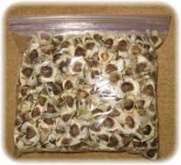 Dried Moringa Seeds/Moringa Powder/Moringa Oil