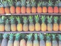 Pinaples and other friuts for sale