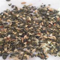 Export Pumpkin Seed kernels for Oil Extract and Powder