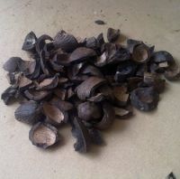 Good Quality Palm Kernel Shell For Sell