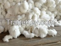 RAW COTTON