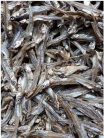 Dried Anchovy Fish