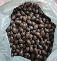 Dried Black Lotus Seeds from the Vietnam