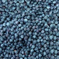 IQF Blueberry on sale, 30% discount