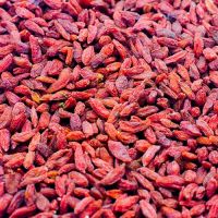 Quality Dried Goji Berries on sale. 30% Discount on sale now