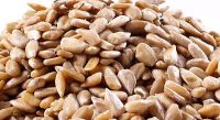 Raw Sunflower Seeds (With shell / Without Shell) now available on 30% discount sale