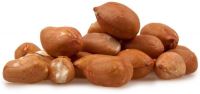 Quality Peanuts (In-Shell, Blanched, Java, Bold, Flour) Now Available for sale