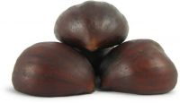 Fresh Chestnuts now available for sale