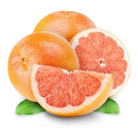 Quality Fresh Grapefruits now Available on Sale. 30% Discount