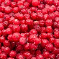 IQF whole redcurrants