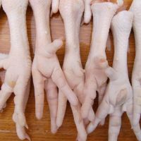 Top AAA Grade CHICKEN FEET & PAWS SUPPLIERS