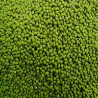 Grade A green mung beans for sale