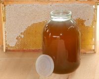 Pure Organic 100% honey