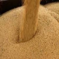 Top Quality Soybean Meal/Bulk Soybean Meal