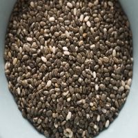 High Top Quality Organic Chia Seeds