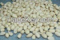 Blanched Peanut Kernel