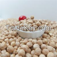 best quality chickpea/chick pea market price HPS