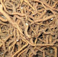 Dried Ipecac Roots