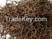 sell High qualitylpecac Dried Roots