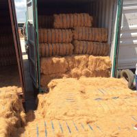 CHEAP COCONUT FIBER HIGH QUALITY