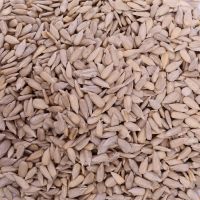 sunflower seeds kernels bakery grade high quality from Inner Mongolia