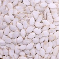 snow white pumpkin seeds