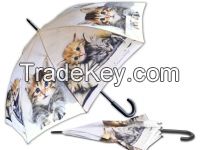 Umbrella- CatS World