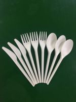 Disposable Biodegradable Compostable Flatware/Cutlery