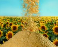 100%Pure sunflower lecithin/ soy lecithin powder/ soybean lecithin