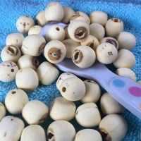 Grinding White Lotus Seed Nut Kernel Lotus Extract Manufacture Wholesa