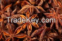 Star Anise